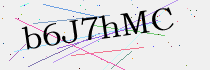 CAPTCHA Security Code